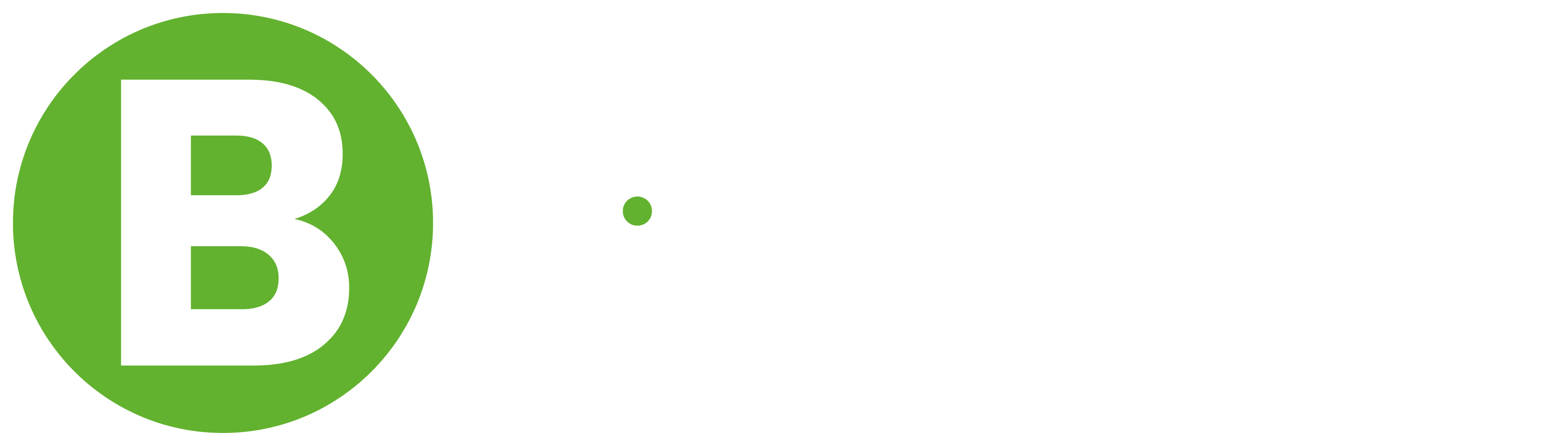 B-Protek