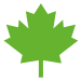 canada_icon