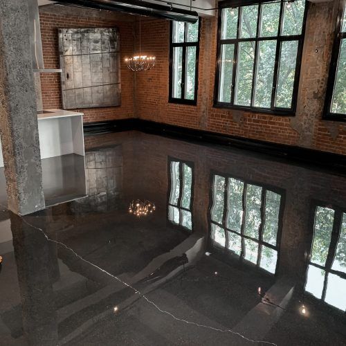 transparent-montreal-5